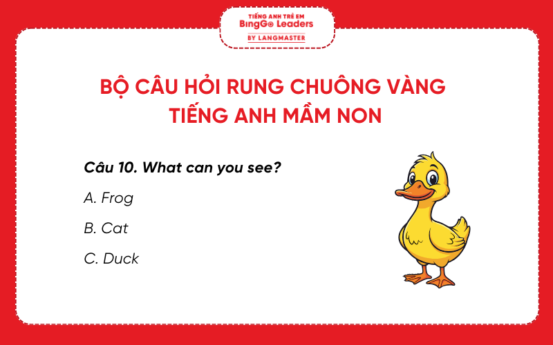 Câu hỏi cuộc thi Rung chuông vàng tiếng Anh mầm non
