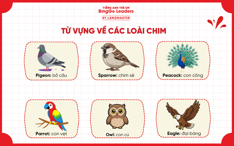 Từ vựng tiếng Anh cho bé về động vật: chủ đề các loài chim