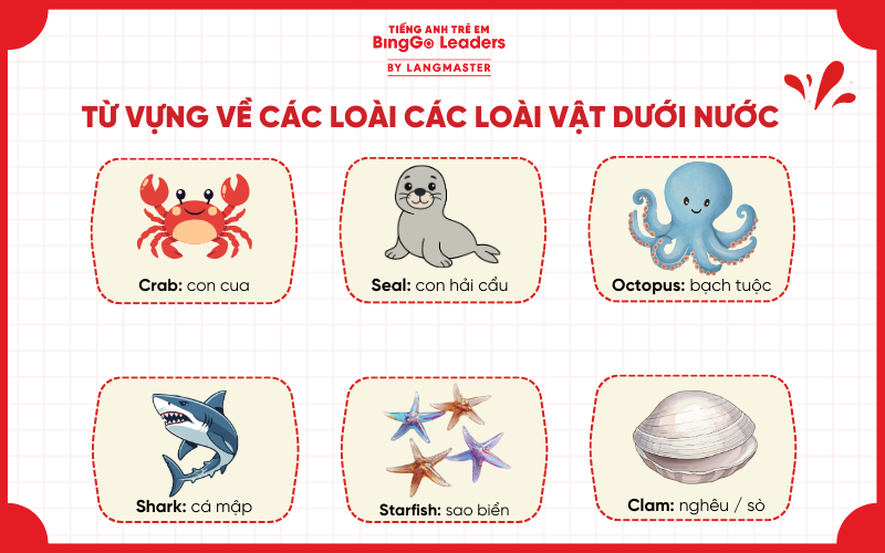 Từ vựng tiếng Anh cho bé về động vật: chủ đề cái loài dưới nước