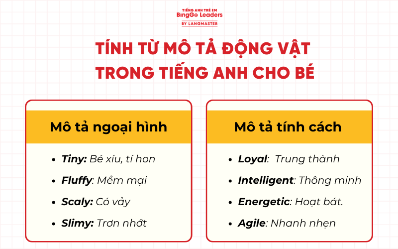 Tính từ tiếng Anh mô tả về động vật