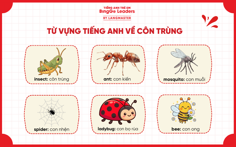 Từ vựng tiếng Anh về động vật: các loài côn trùng
