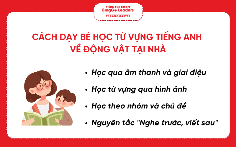 Cách dạy bé học từ vựng tiếng Anh về động vật ngay tại nhà