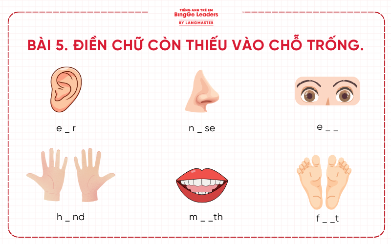 Bài tập tiếng Anh cho bé lớp 1 ôn tập tại nhà