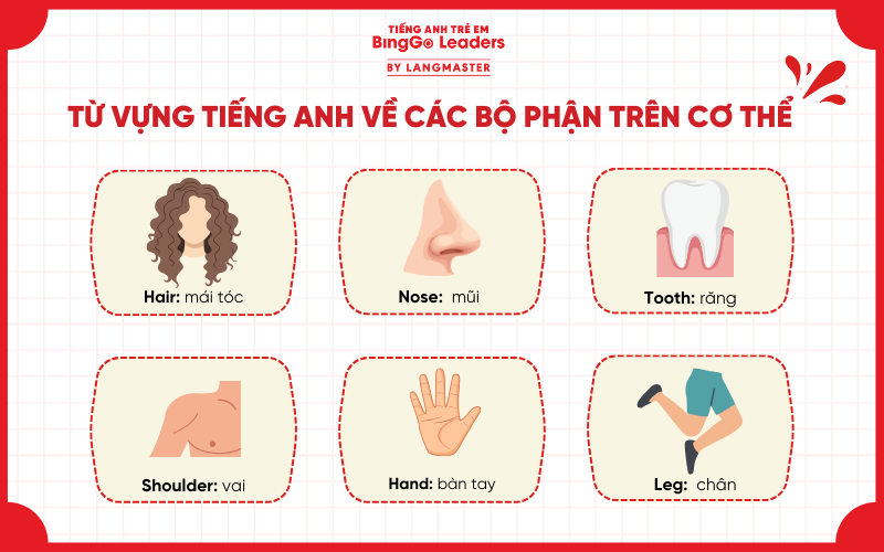 Từ vựng tiếng Anh cho trẻ em theo chủ đề bộ phận cơ thể