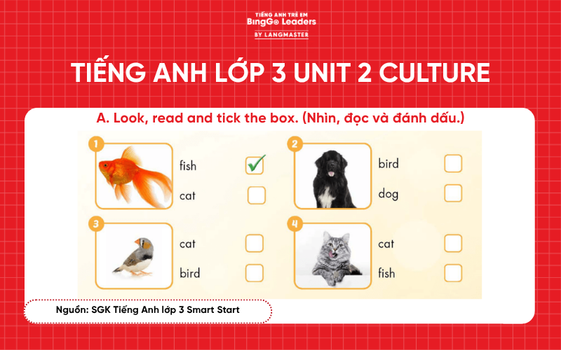 Bài tập Tiếng Anh lớp 3 Smart Start Unit 2 Culture