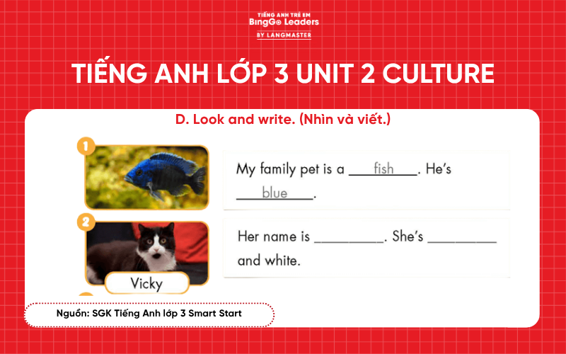 Bài tập Tiếng Anh lớp 3 Smart Start Unit 2 Culture