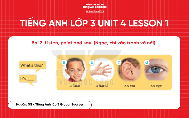 Bài tập tiếng Anh lớp 3 Unit 4 Lesson 1 sách Global Success