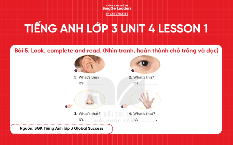 Bài tập tiếng Anh lớp 3 Unit 4 Lesson 1 sách Global Success