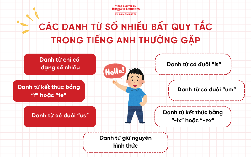 Các danh từ số nhiều bất quy tắc trong tiếng Anh thường gặp